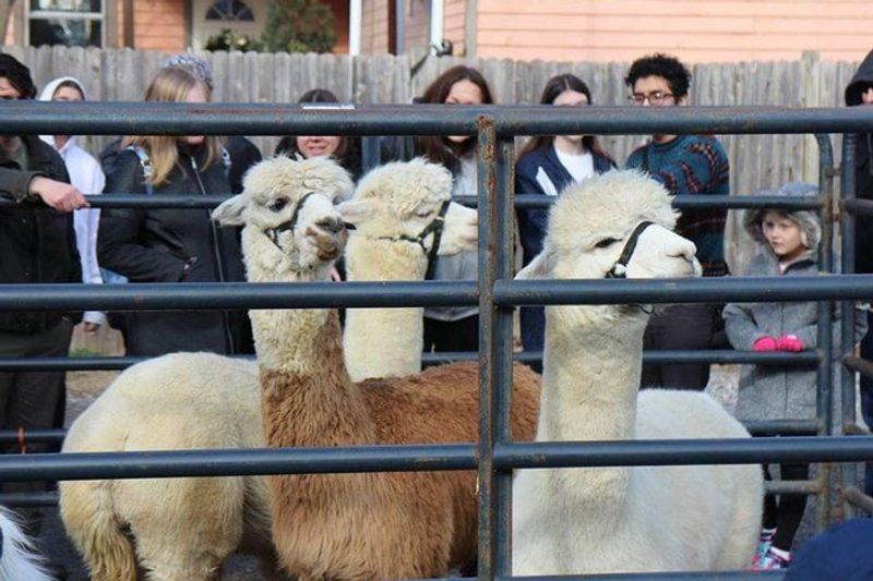 Group Visits and Special Occasions