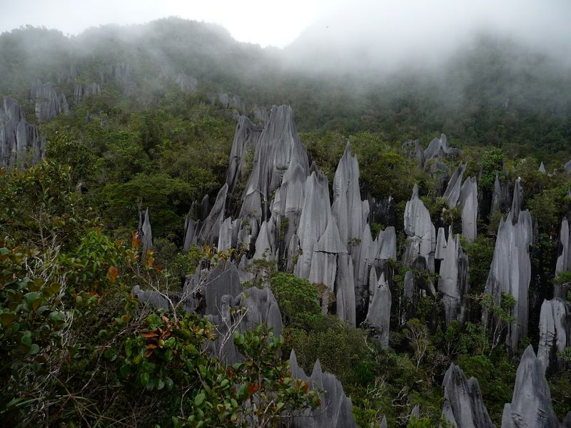 Gunung Mulu National Park, Malaysia Gunung Mulu National Park, Malaysia