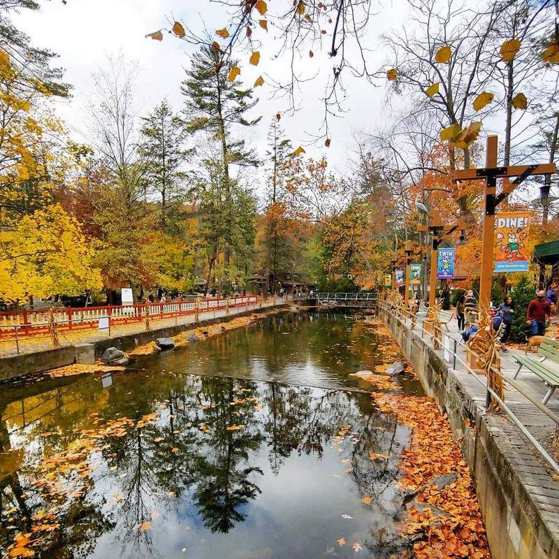 Hallo-Fun Weekends and the Seasonal Magic of Fall