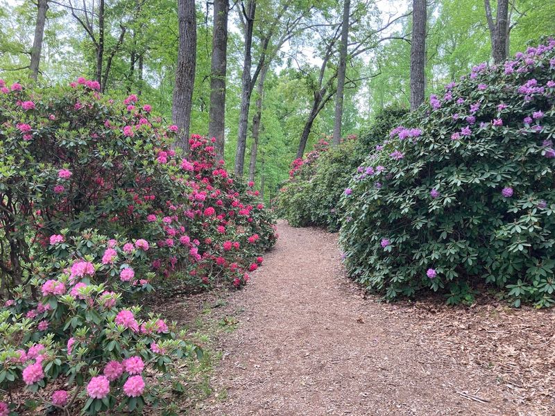 Hamilton Gardens, Hiawassee, Georgia Hamilton Gardens, Hiawassee, Georgia