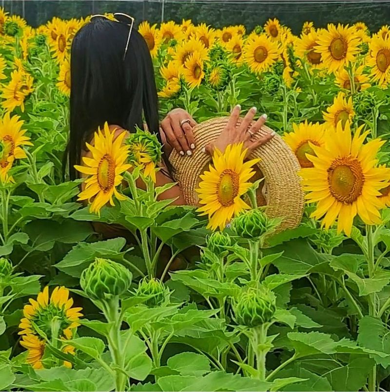 Happy Day Farm, Manalapan, New Jersey