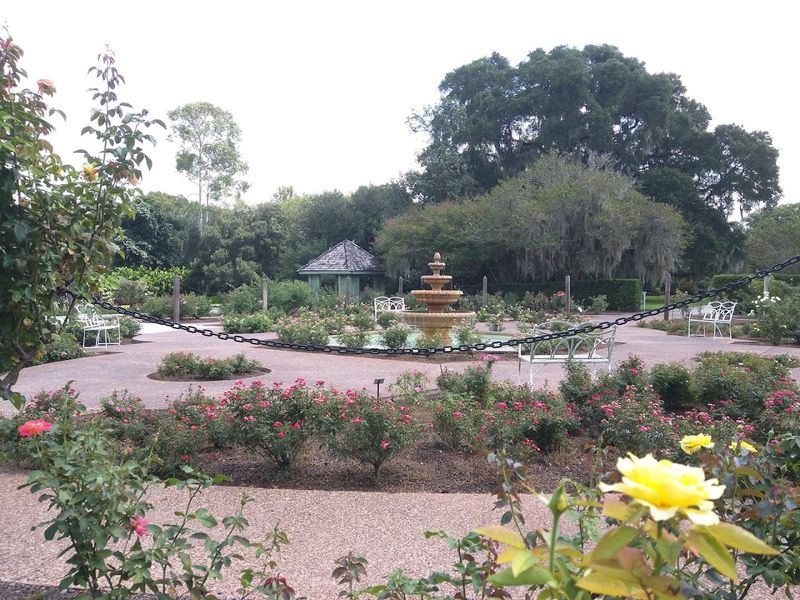 Harry P. Leu Gardens - Orlando