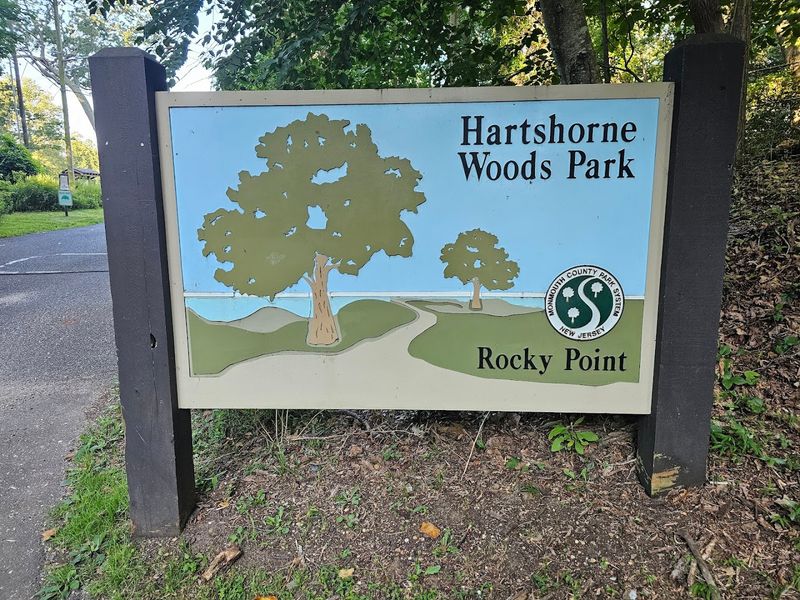 Hartshorne Woods Park, Highlands, New Jersey