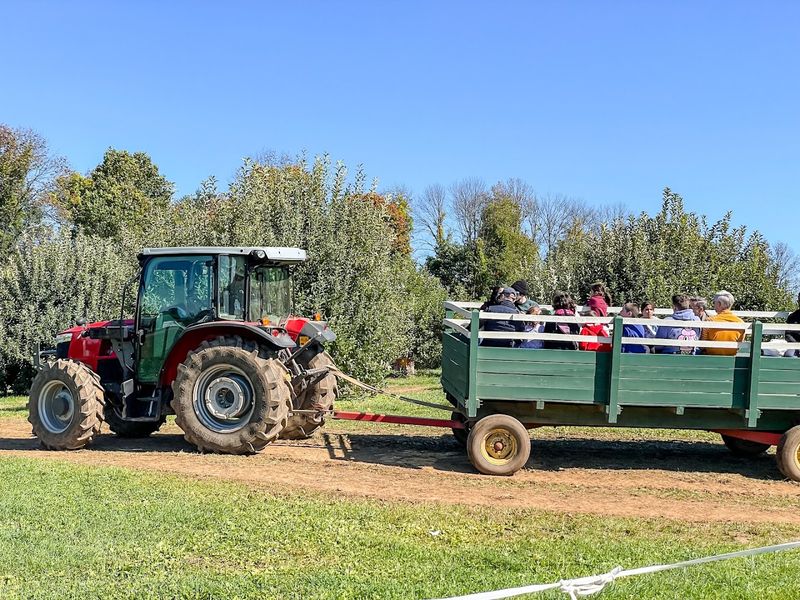 Hayrides, Corn Mazes, and the Apple Slingshot