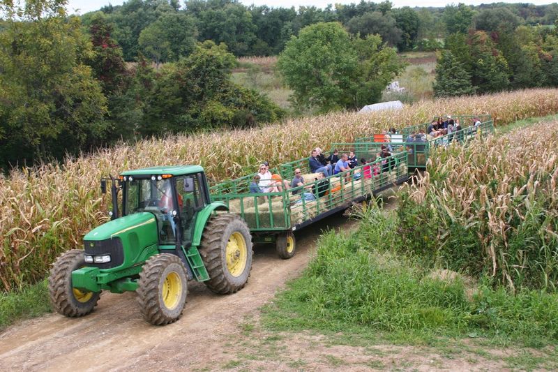 Hayrides Through Open Farmland