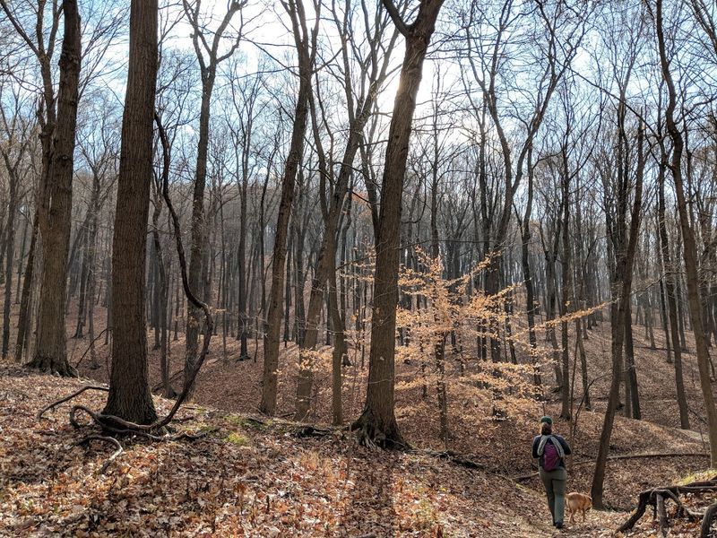 Great Seal State Park