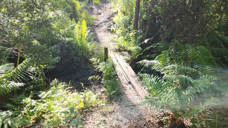 Hidden Details That Make This Trail Memorable