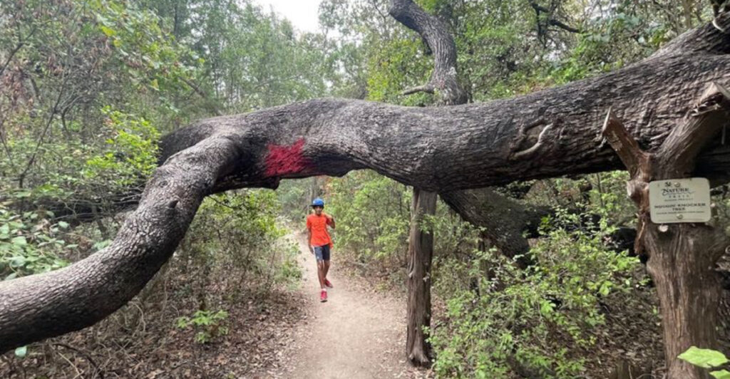Hidden in Austin Is a Scenic Hiking Trail That Feels Far From the City