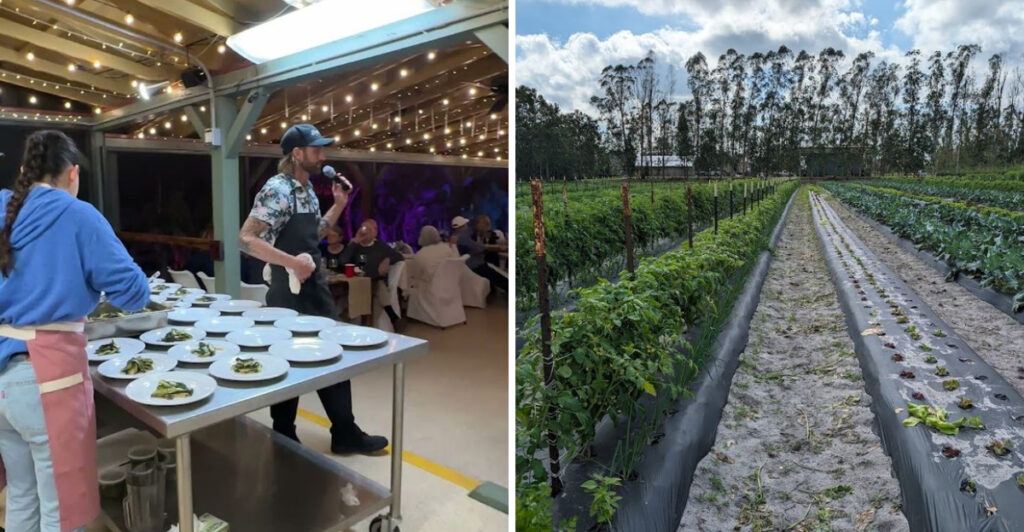 Hidden in Indiantown Is a Beautiful Farm That’s Becoming a Favorite Day Trip Spot