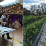 Hidden in Indiantown Is a Beautiful Farm That’s Becoming a Favorite Day Trip Spot