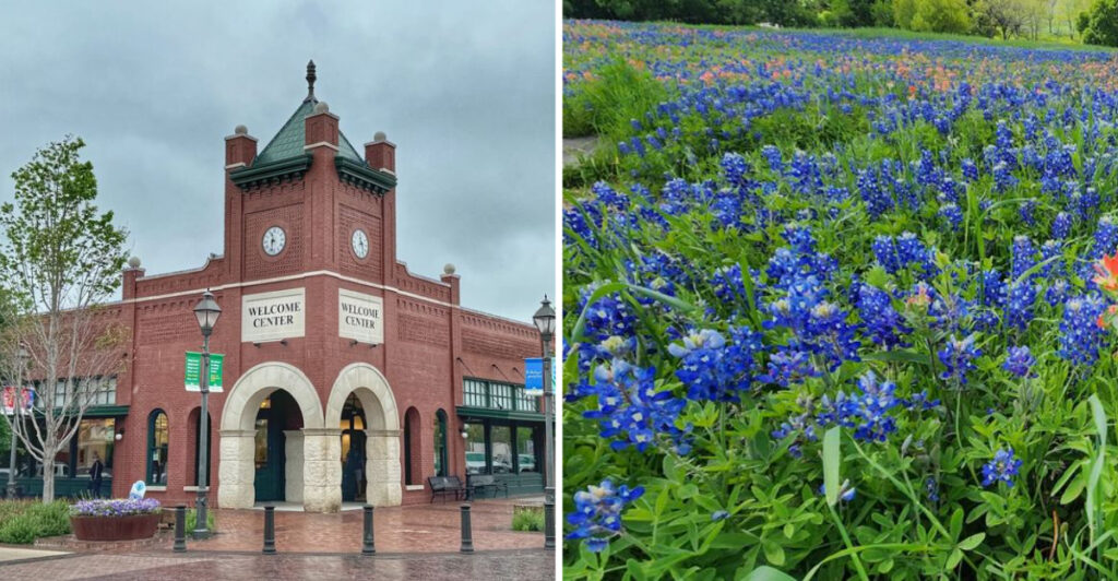 Hidden in North Texas Is a Wildflower Route That Looks Like a Postcard