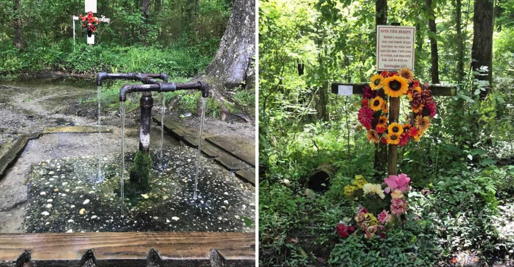 Hidden in South Carolina Is a Healing Spring Surrounded by Mystery and History