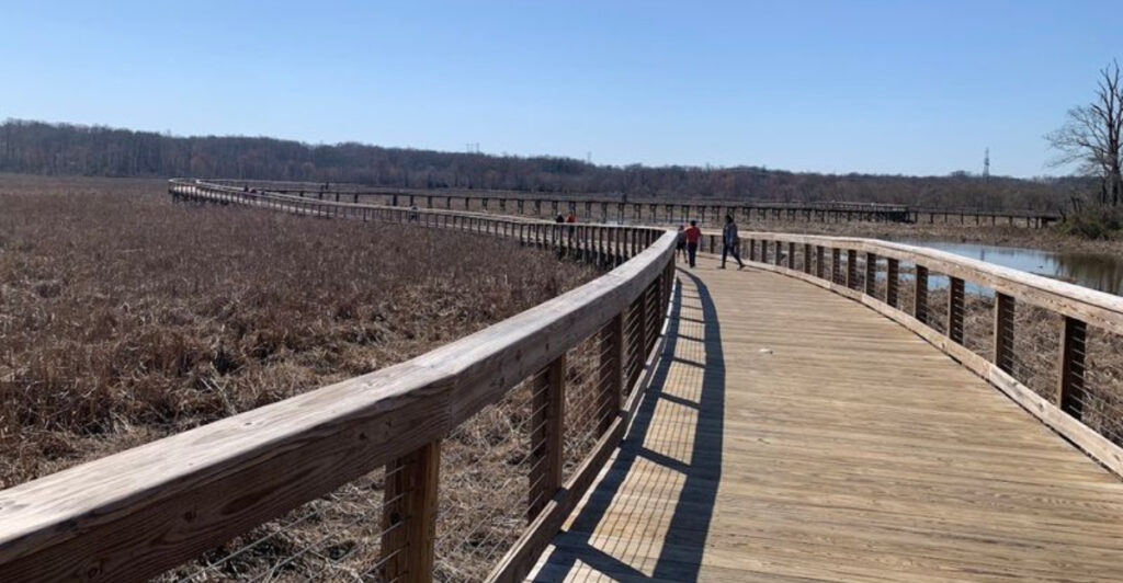 Hidden in Virginia Is a Beautiful Boardwalk Surrounded by Nature and Wildlife