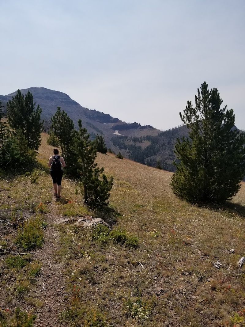 High-Country Meadows and Open Ridgelines