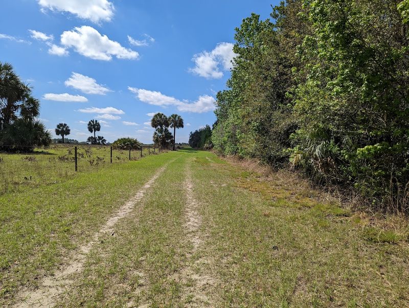 Hiking Through Open Fields and Shaded Tree Lines Hiking Through Open Fields and Shaded Tree Lines