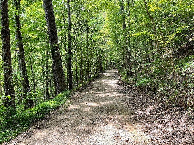 Hiking Trails Along the Chunky River