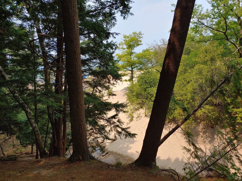 Hiking Trails That Connect Forest to Dunes to Wilderness