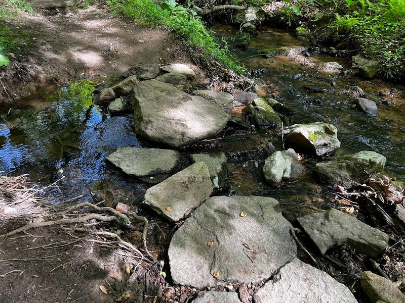 Hiking Trails That Double as History Lessons Hiking Trails That Double as History Lessons