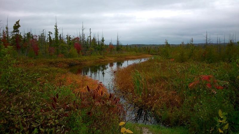 Hiking Trails That Reward the Effort Hiking Trails That Reward the Effort