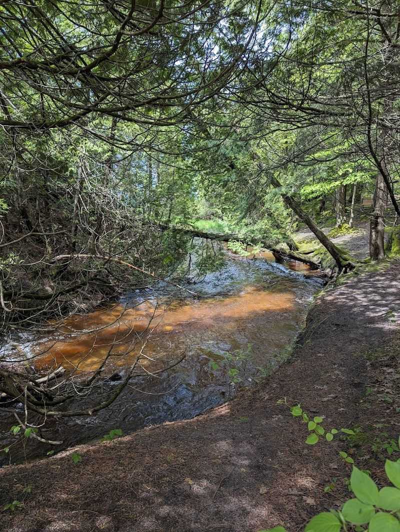 Hiking Trails Through Dunes, Forest, and Bog