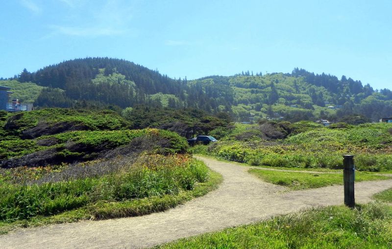 Hiking Trails for Every Skill Level