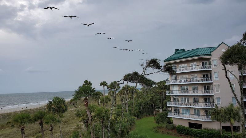 Hilton Head Island, South Carolina Hilton Head Island, South Carolina