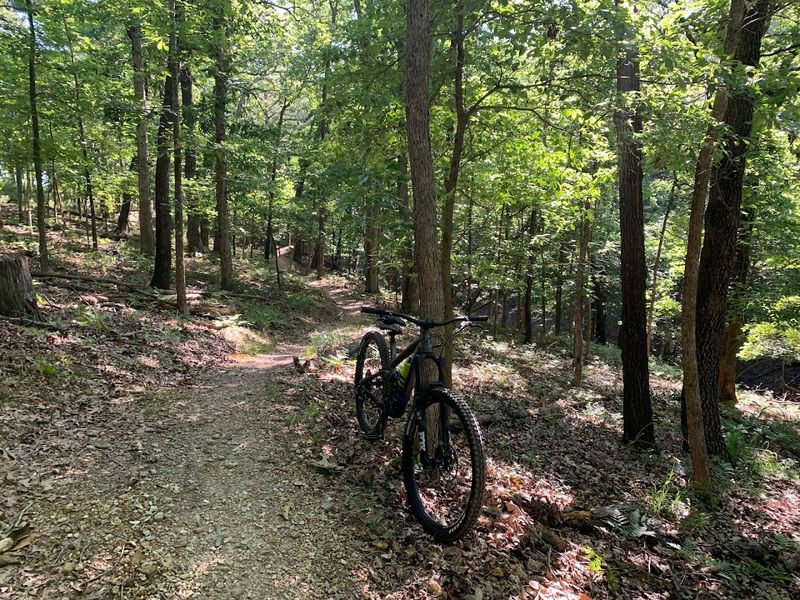 Hobbs State Park-Conservation Area, Rogers, Arkansas