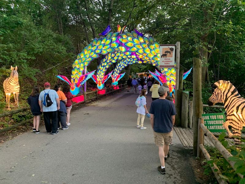 Holiday Lights Spectacular: Winter at the Zoo Has Its Own Magic Holiday Lights Spectacular: Winter at the Zoo Has Its Own Magic