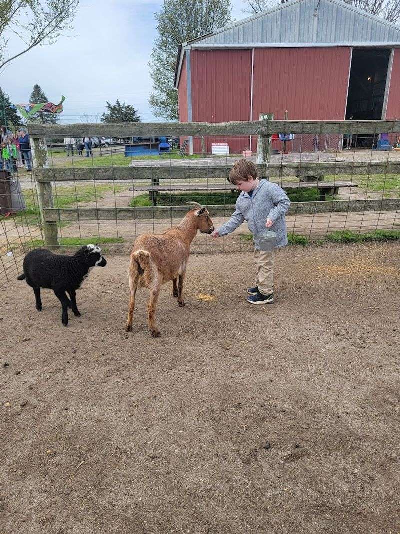 Homeschool Families and Educational Visits