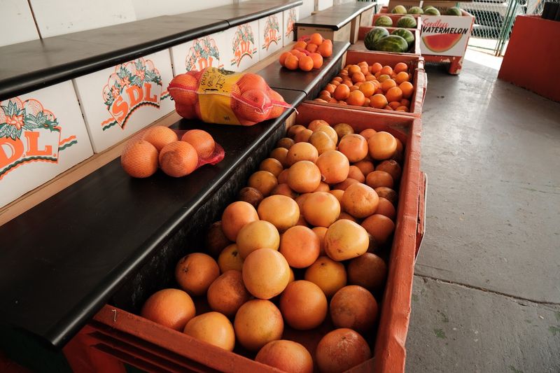 Honeybell Oranges and Seasonal Varieties Honeybell Oranges and Seasonal Varieties