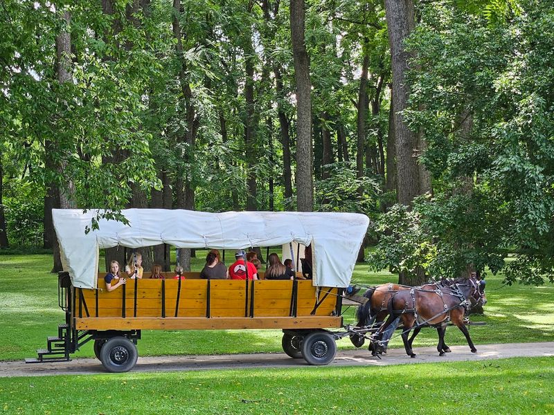 Horse-Drawn Carriage Rides Around the Plantation Grounds Horse-Drawn Carriage Rides Around the Plantation Grounds