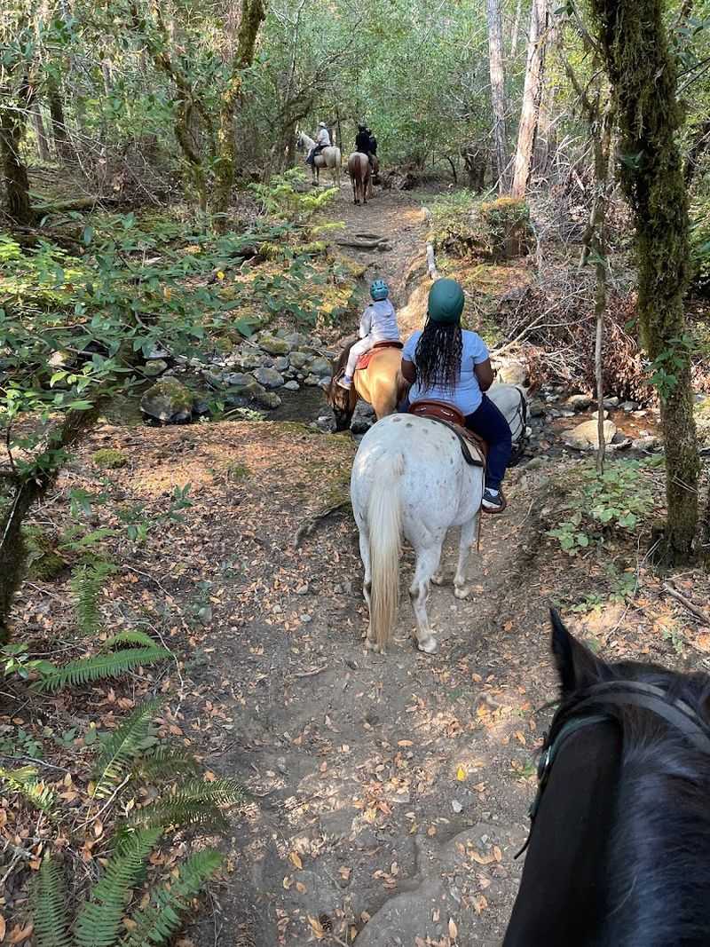 Horseback Riding on 36 Acres