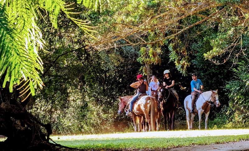 Horses, Hoofbeats, and a Very Florida Vibe
