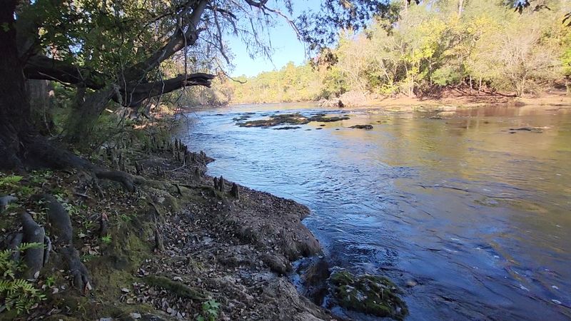 How Big Shoals Compares to the Bell Springs Trail Across the River How Big Shoals Compares to the Bell Springs Trail Across the River