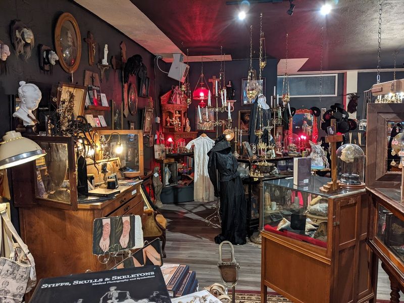 How Femme Fatale Connects to Its Sister Shop How Femme Fatale Connects to Its Sister Shop