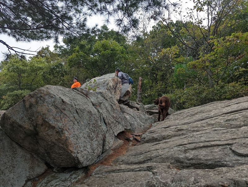 How Hard Is This Hike, Really