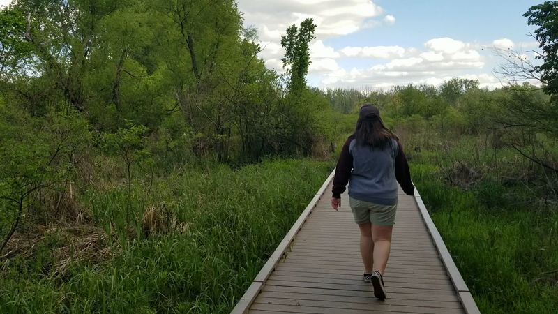 How Long the Trail Actually Is and What to Expect