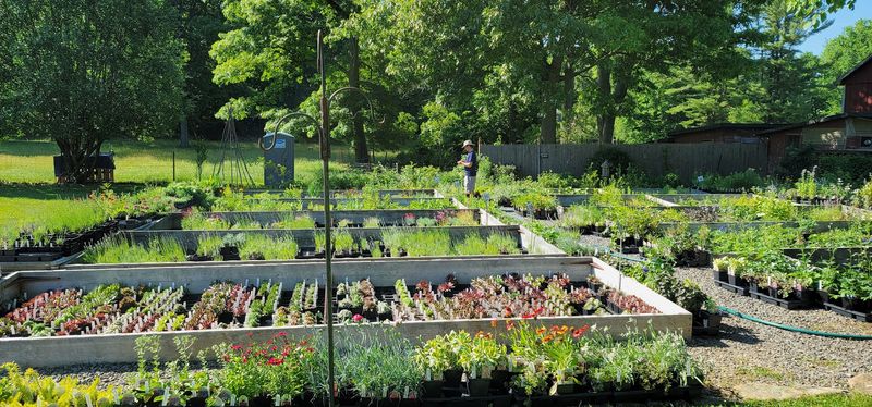 How This Herb Collection Got So Big How This Herb Collection Got So Big