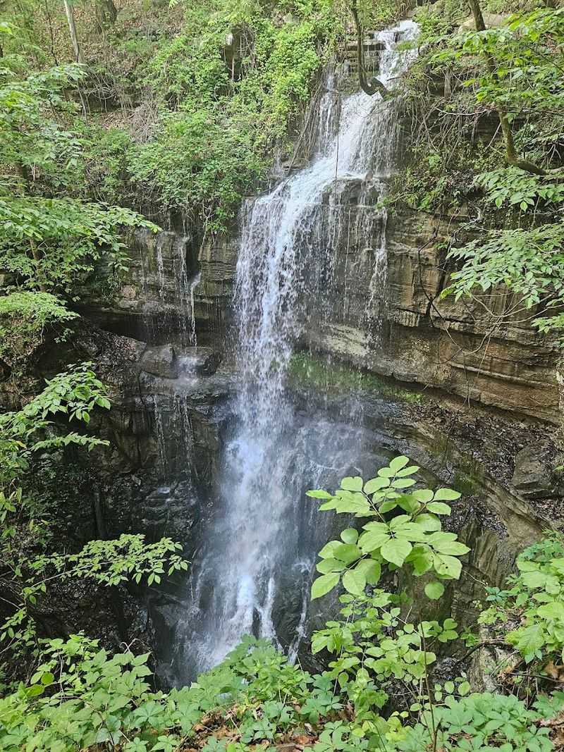 How This Trail Compares to Other Alabama Hikes