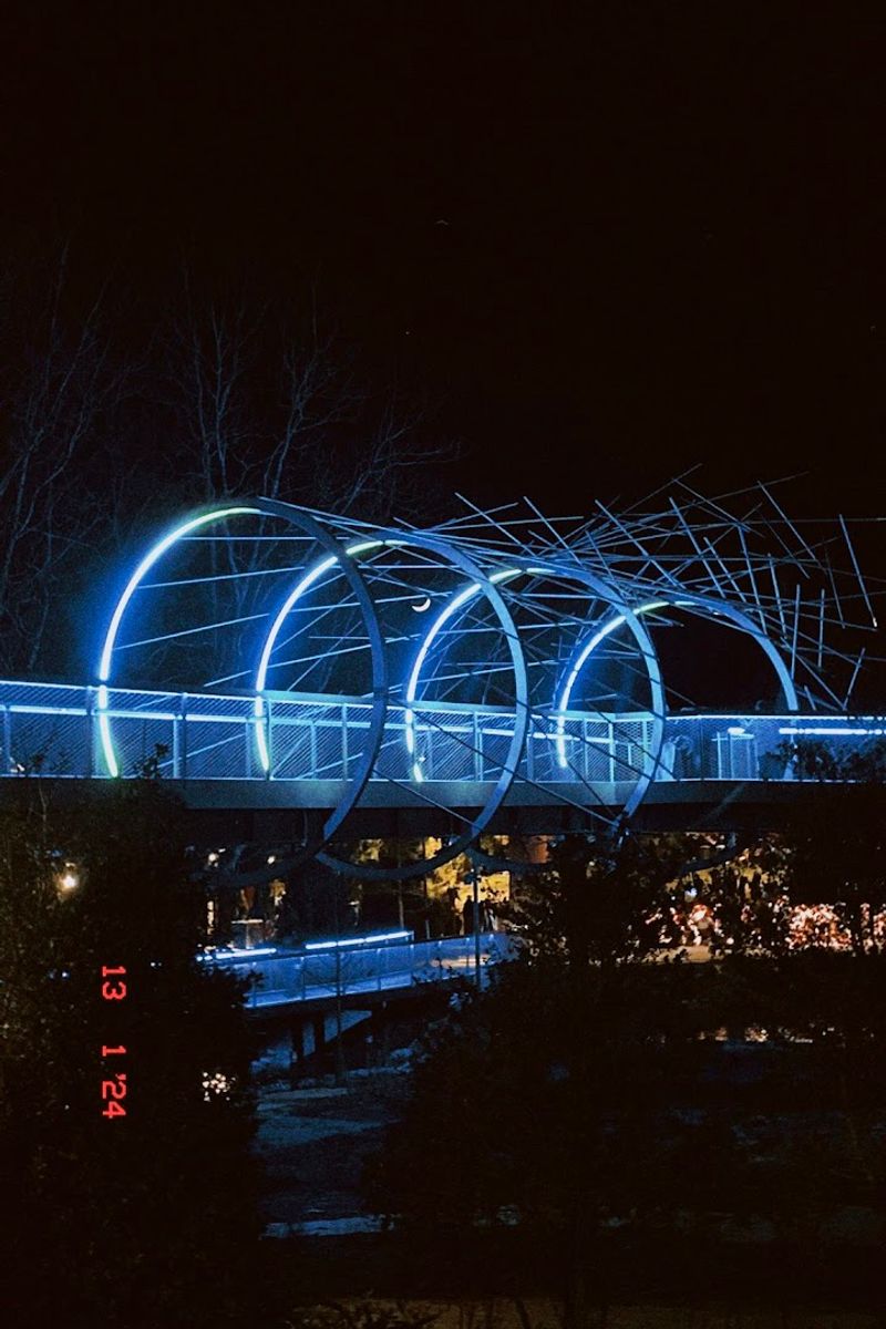 How the Skywalk Connects to Nature Without Leaving Town