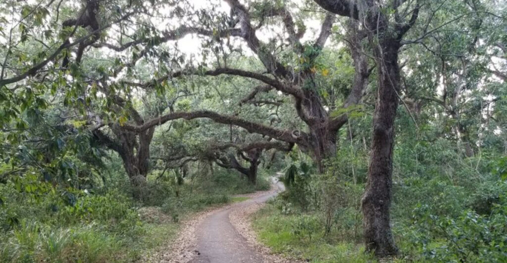I Almost Didn’t Want to Share This Hidden Hiking Trail in Florida