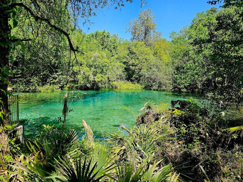 Ichetucknee Springs State Park, Fort White Ichetucknee Springs State Park, Fort White
