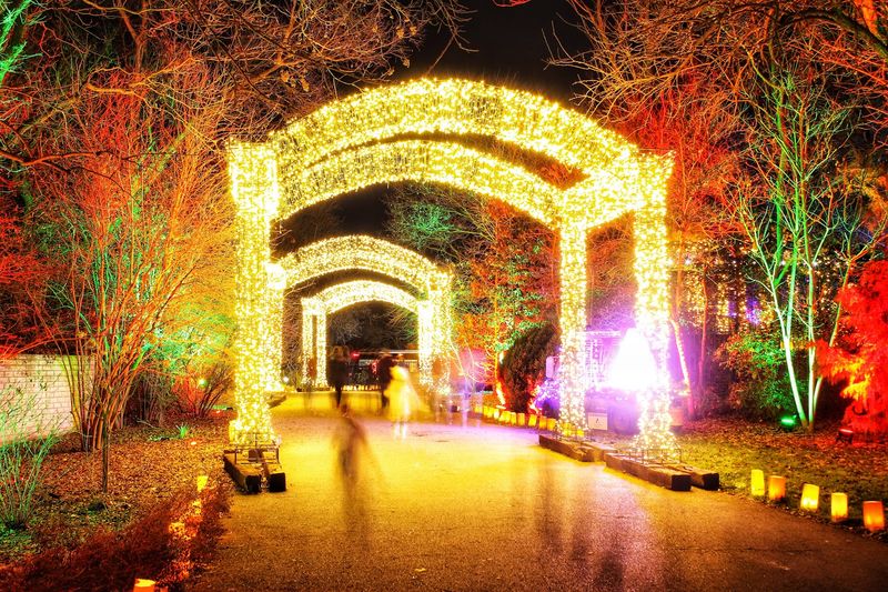 Illuminations: Two Million Lights and a 62-Foot Christmas Tree Illuminations: Two Million Lights and a 62-Foot Christmas Tree