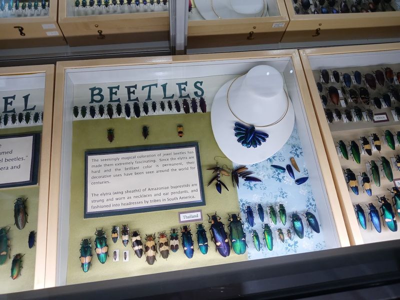 Insectropolis in Toms River, New Jersey