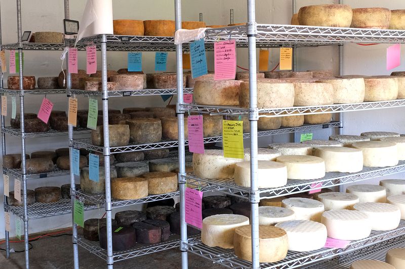 Inside the Cheese Cave: Aged to Perfection Underground Inside the Cheese Cave: Aged to Perfection Underground