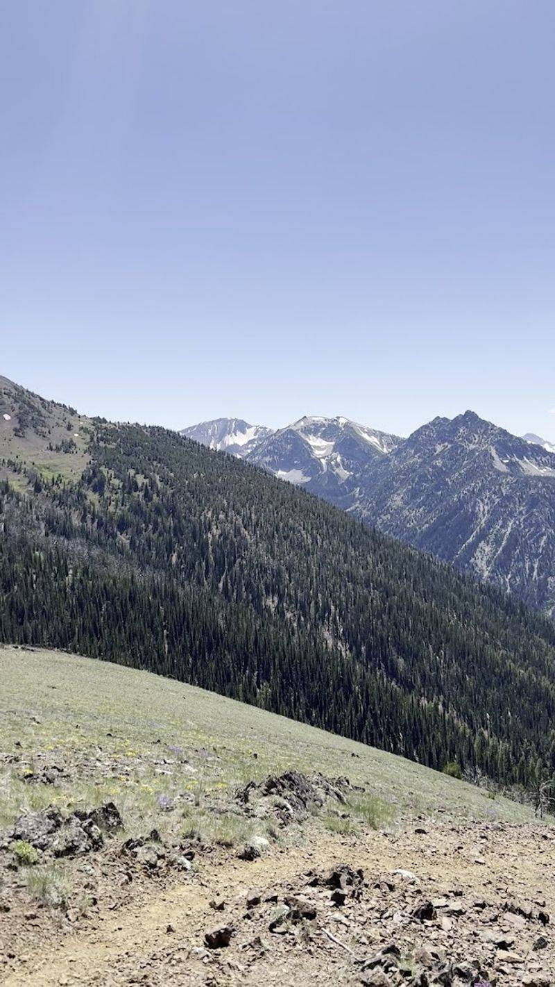 Inside the Summit Grill: Oregon's Highest Dining Room