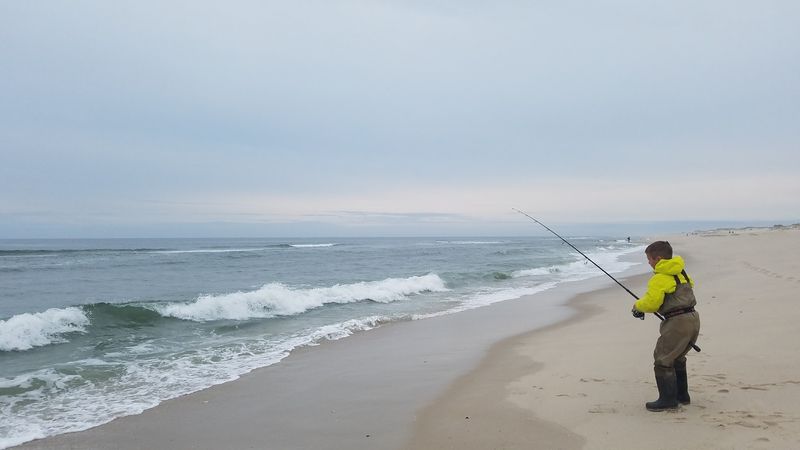 Island Beach State Park, Seaside Park, New Jersey Island Beach State Park, Seaside Park, New Jersey