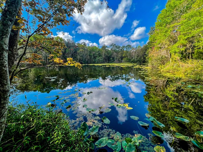 Jacksonville Arboretum & Botanical Gardens - Jacksonville