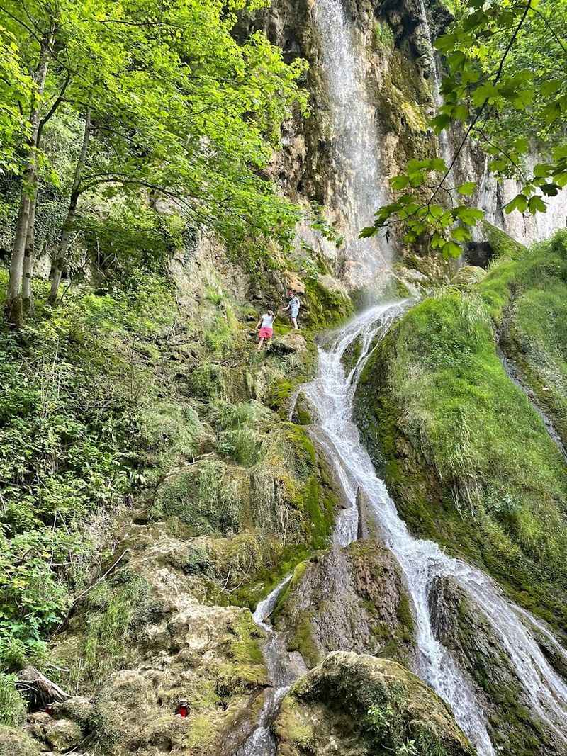 Jankovac Forest Park in Papuk