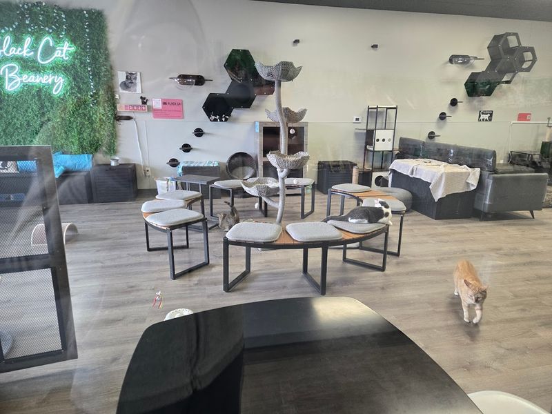Jax and the Permanent Residents Who Hold It All Together